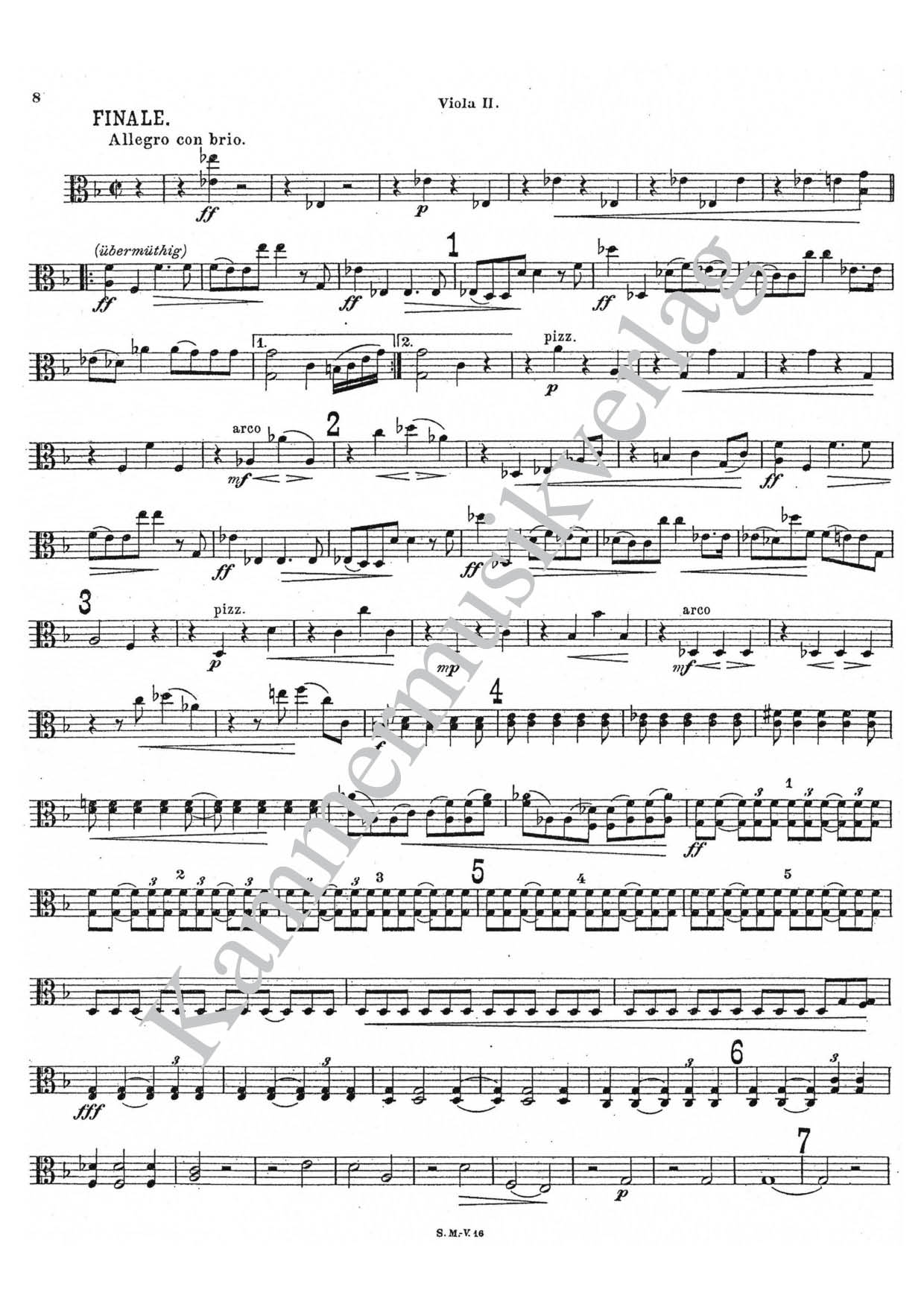 F6711-Koessler_Viola_2