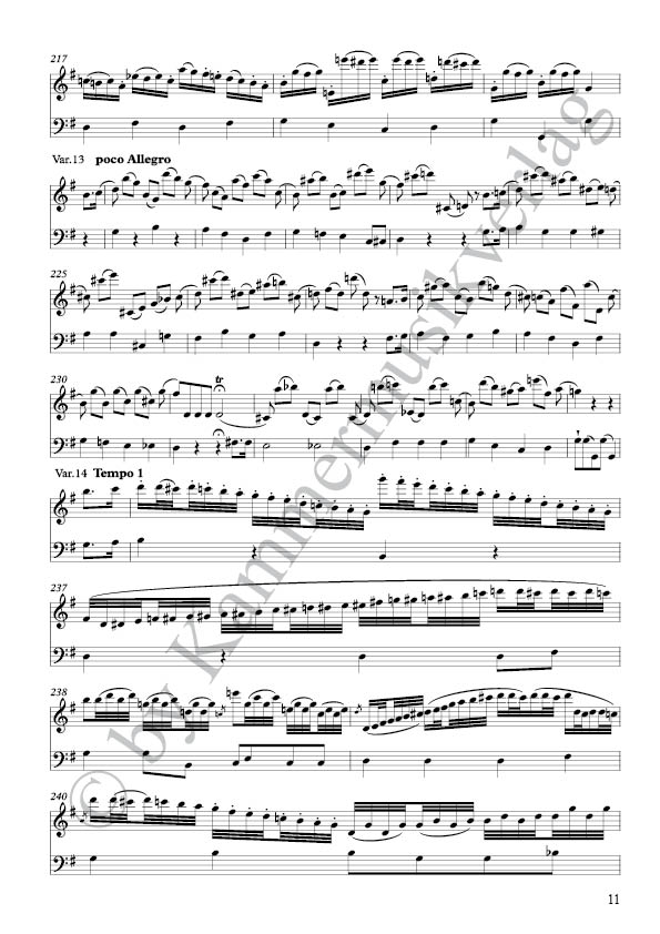 CS2018-Jusdorff-26-Var_Partitur4