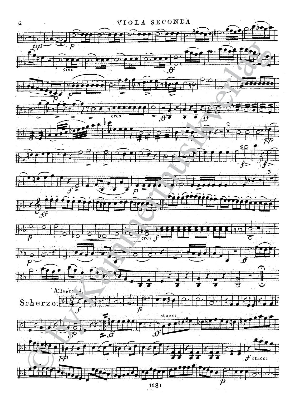 F6950-Henning_Sext_Viola_2