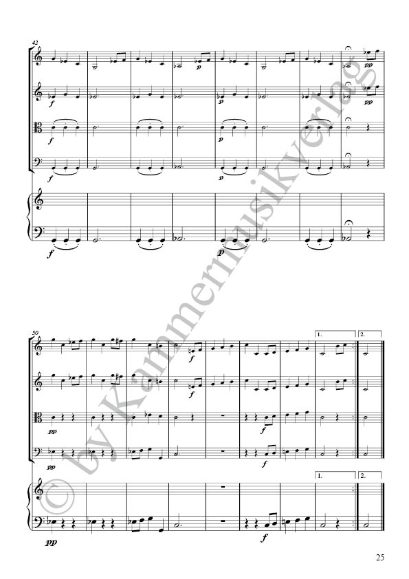 HK430531-Camer_Sinf_Partitur5