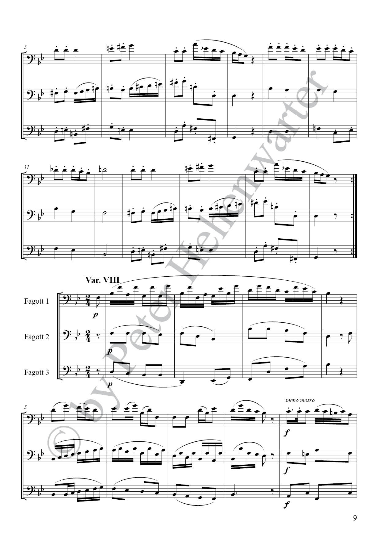 RH3001_Maennlein__Partitur4