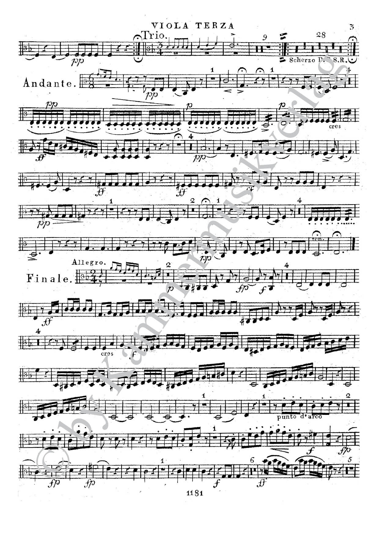 F6950-Henning_Sext_Viola_3