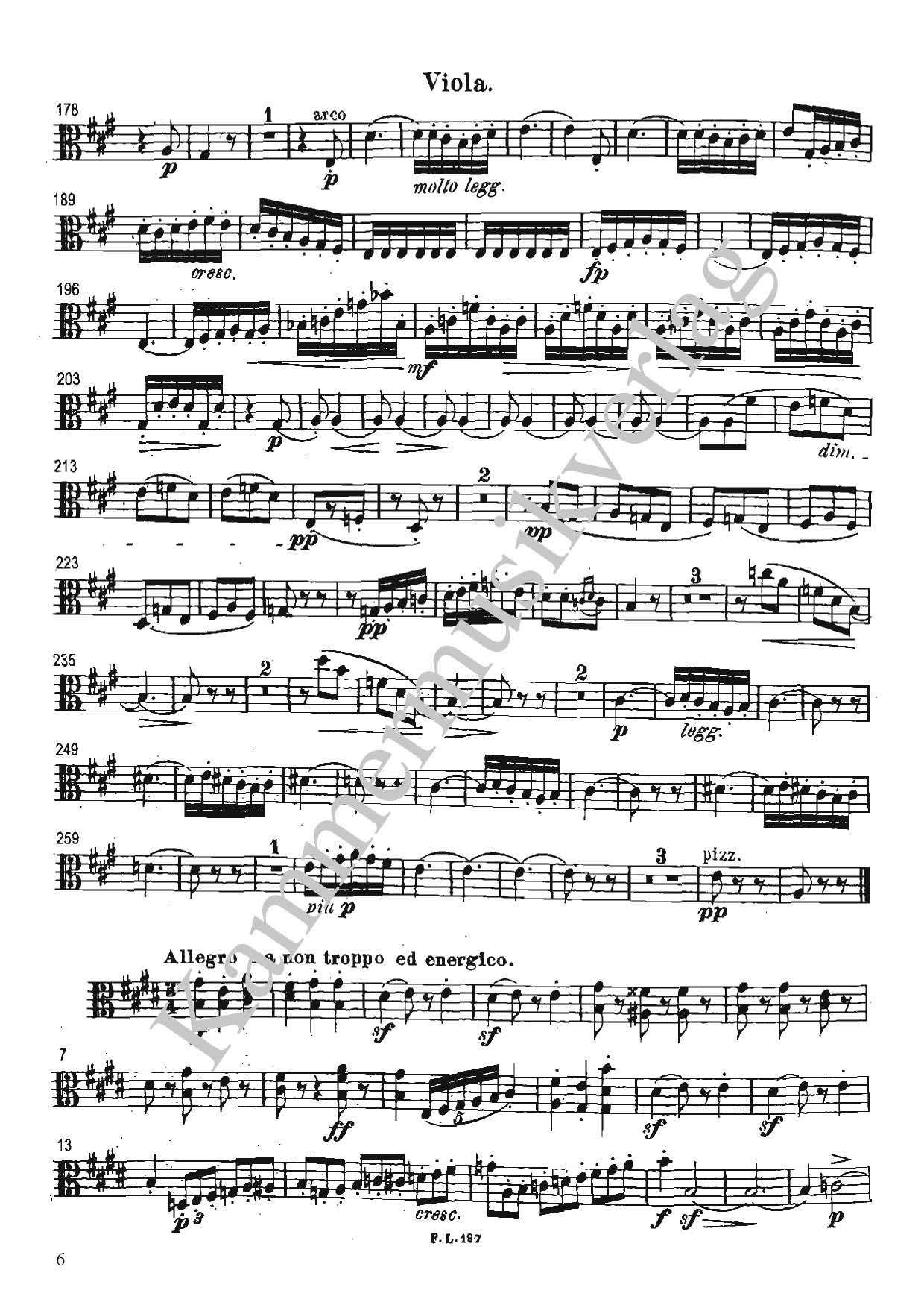 F6053_Gernsheim_Viola