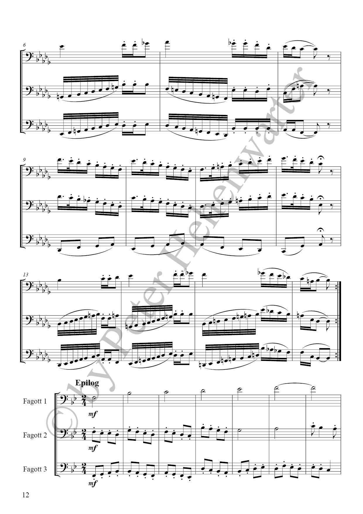 RH3001_Maennlein__Partitur5