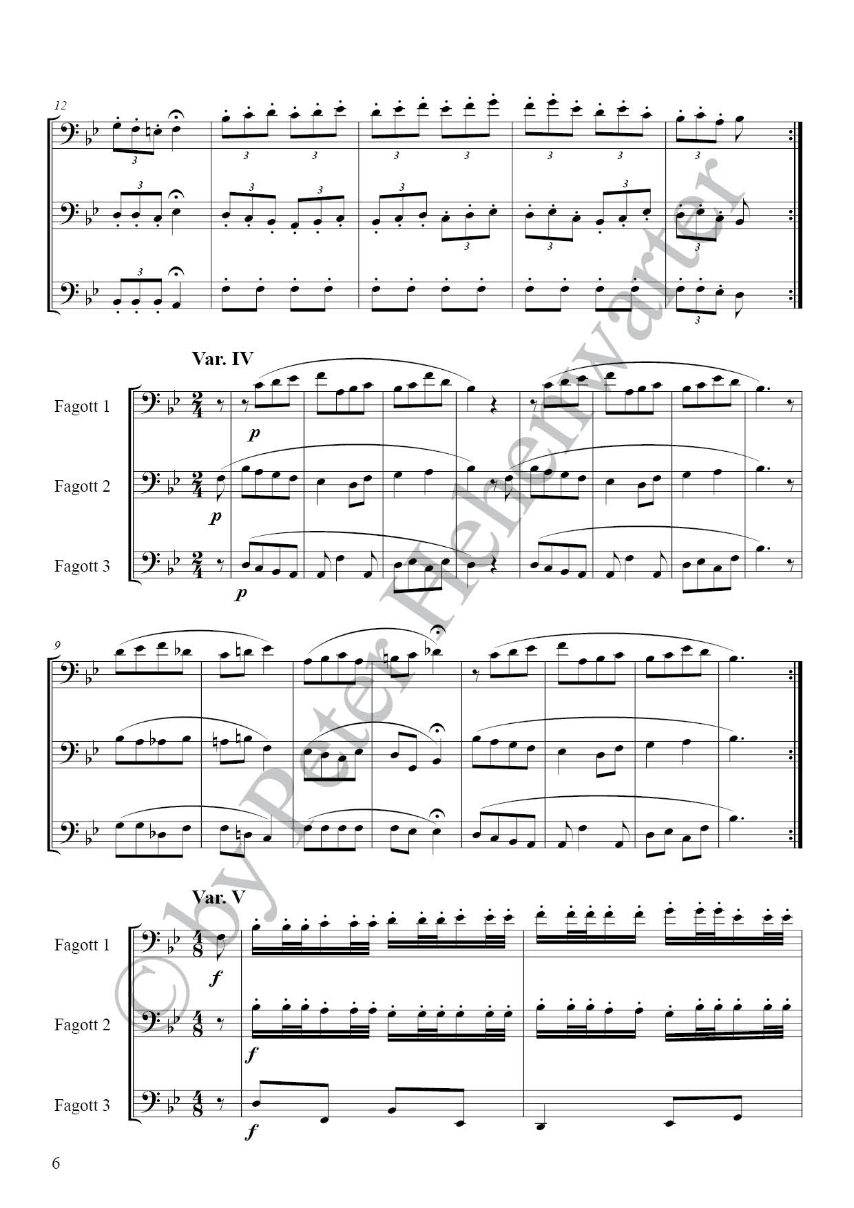 RH3001_Maennlein__Partitur3