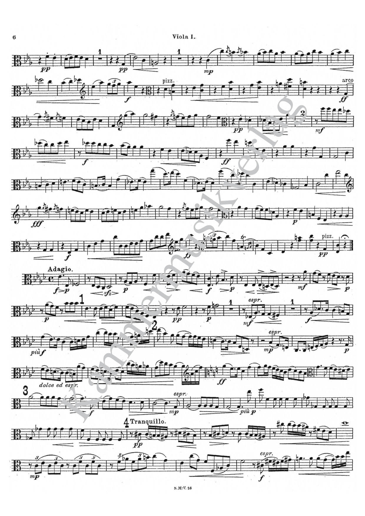 F6711-Koessler_Viola_1