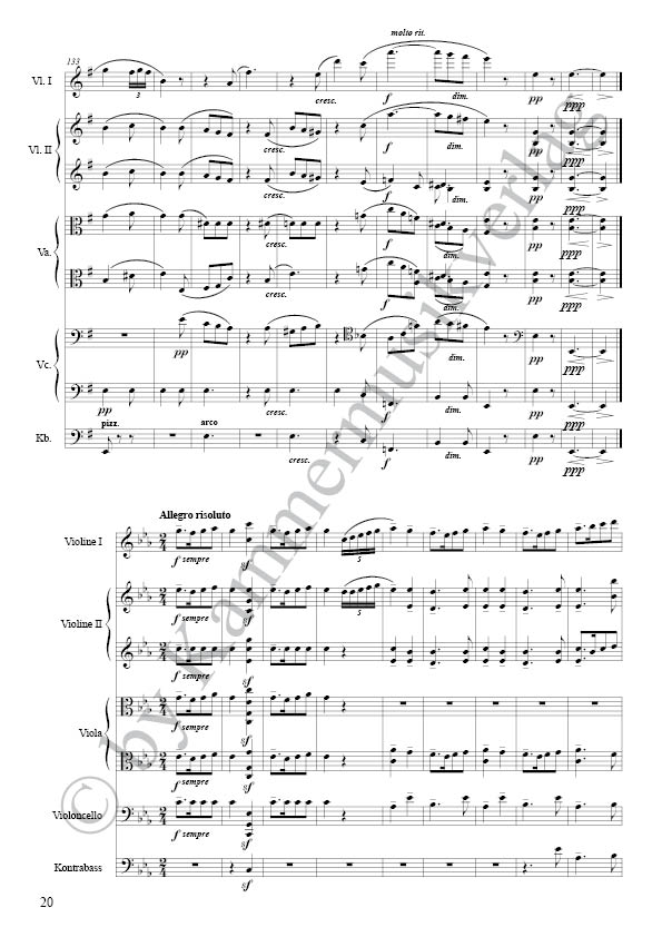 5932-Fuchs-Serenade-Nr-2-op-14_Partitur4